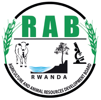 RABP